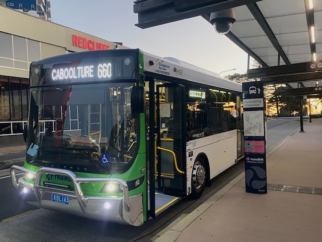 Public Transport Kangaroo Bus Lines